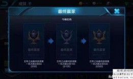 王者惊天爆料视频大全最新,揭秘最新视频大全背后的秘密与精彩瞬间